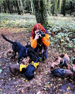 Pack Walks Worcester